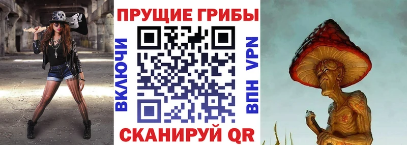 Купить закладки  Остров  Галлюциногенные грибы Psilocybe 